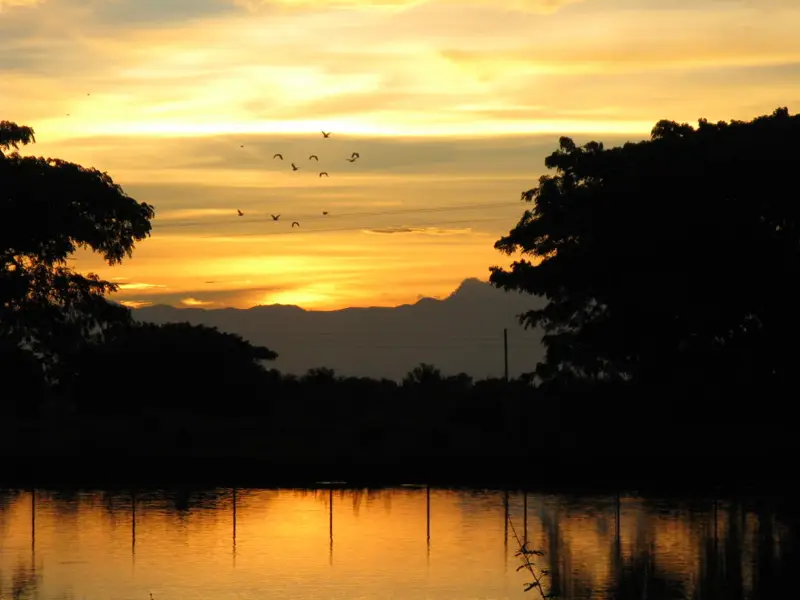 Barinas