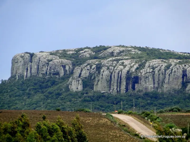 Minas