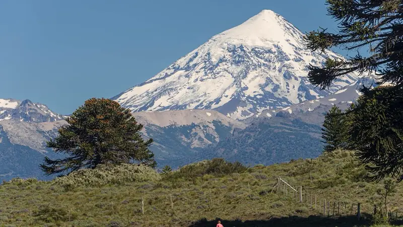 Junín de los Andes
