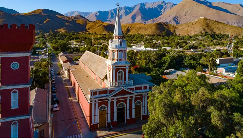 Vicuña