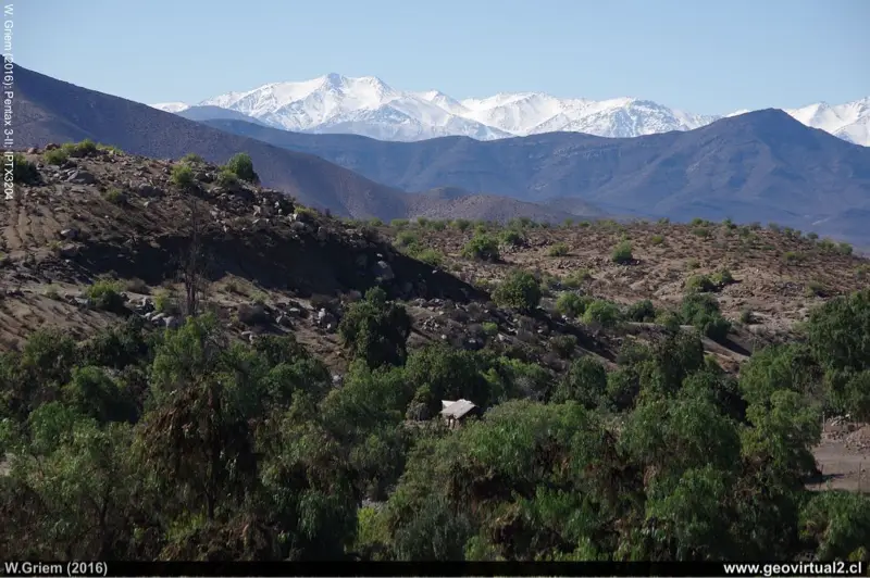 Ovalle