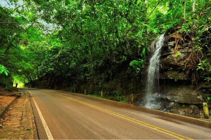 Paraguarí
