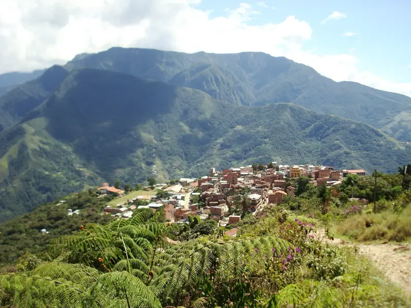 Coroico