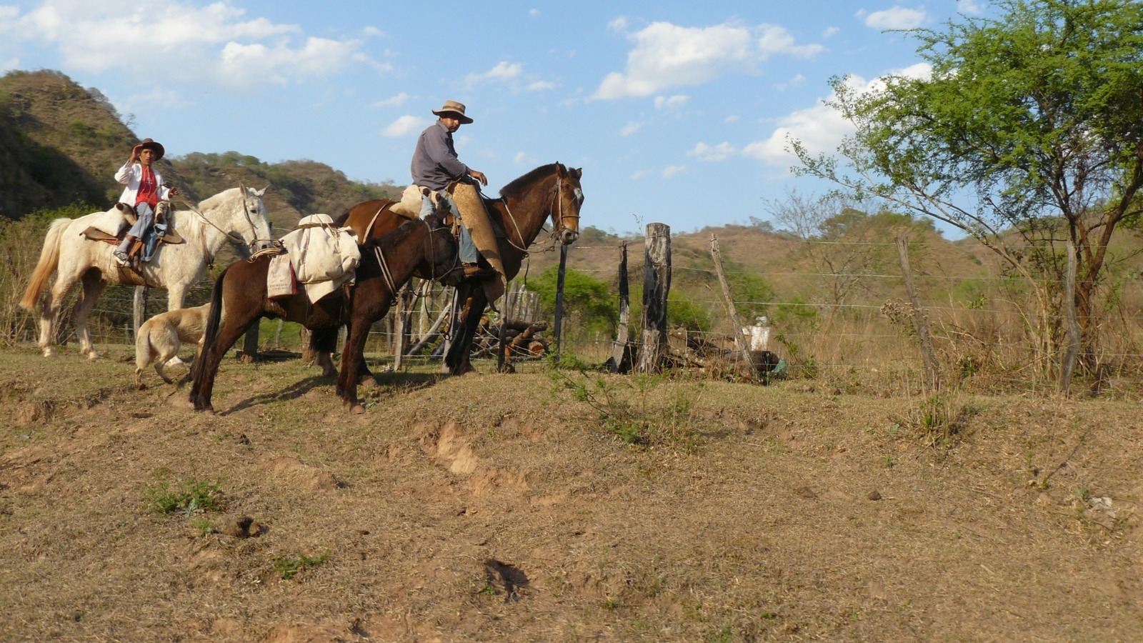 Foto del viaje 7