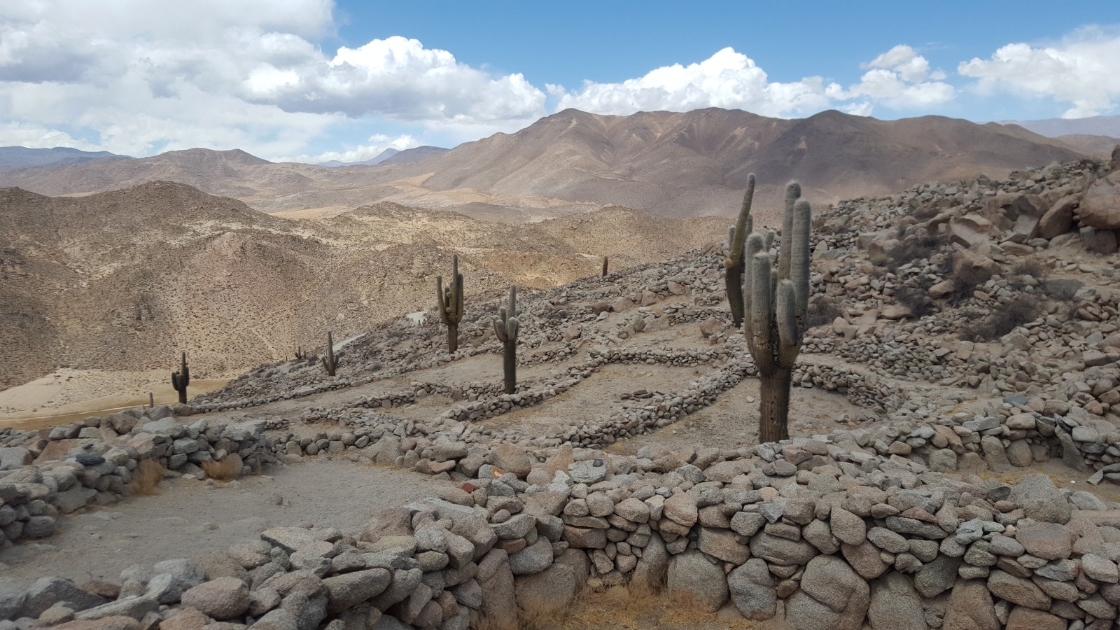 Abra del Acay 4895 msnm / Quebrada del Toro / Ruinas de Tastil / Gobernador Solá (tramao de enlace dia 03)