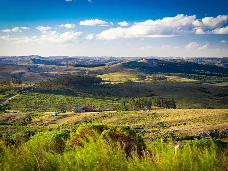 Ruta de los Parques y Sierras