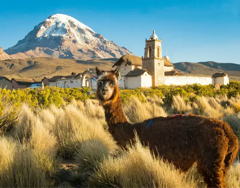 Ruta del Altiplano Exprés