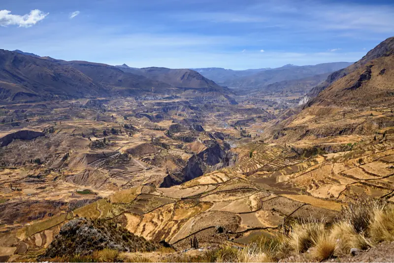 Cañón del Colca Exprés