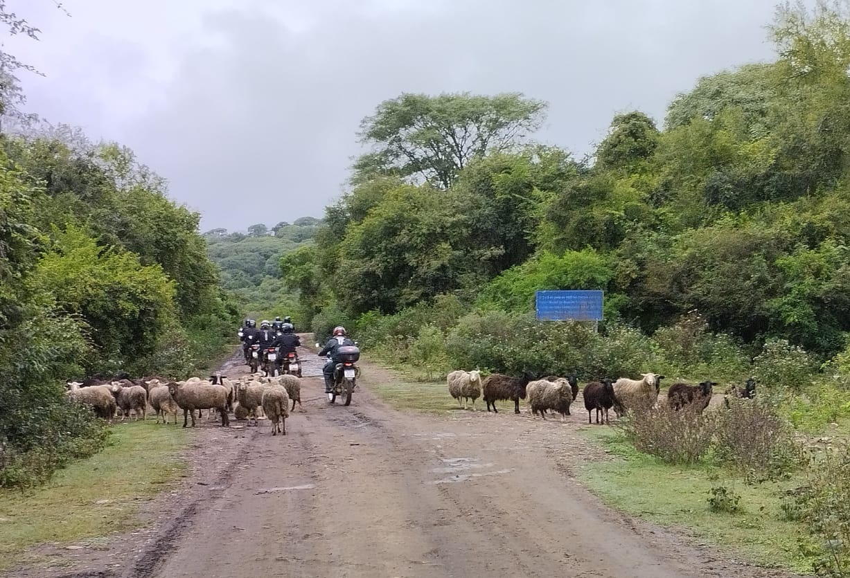 Foto del viaje 5