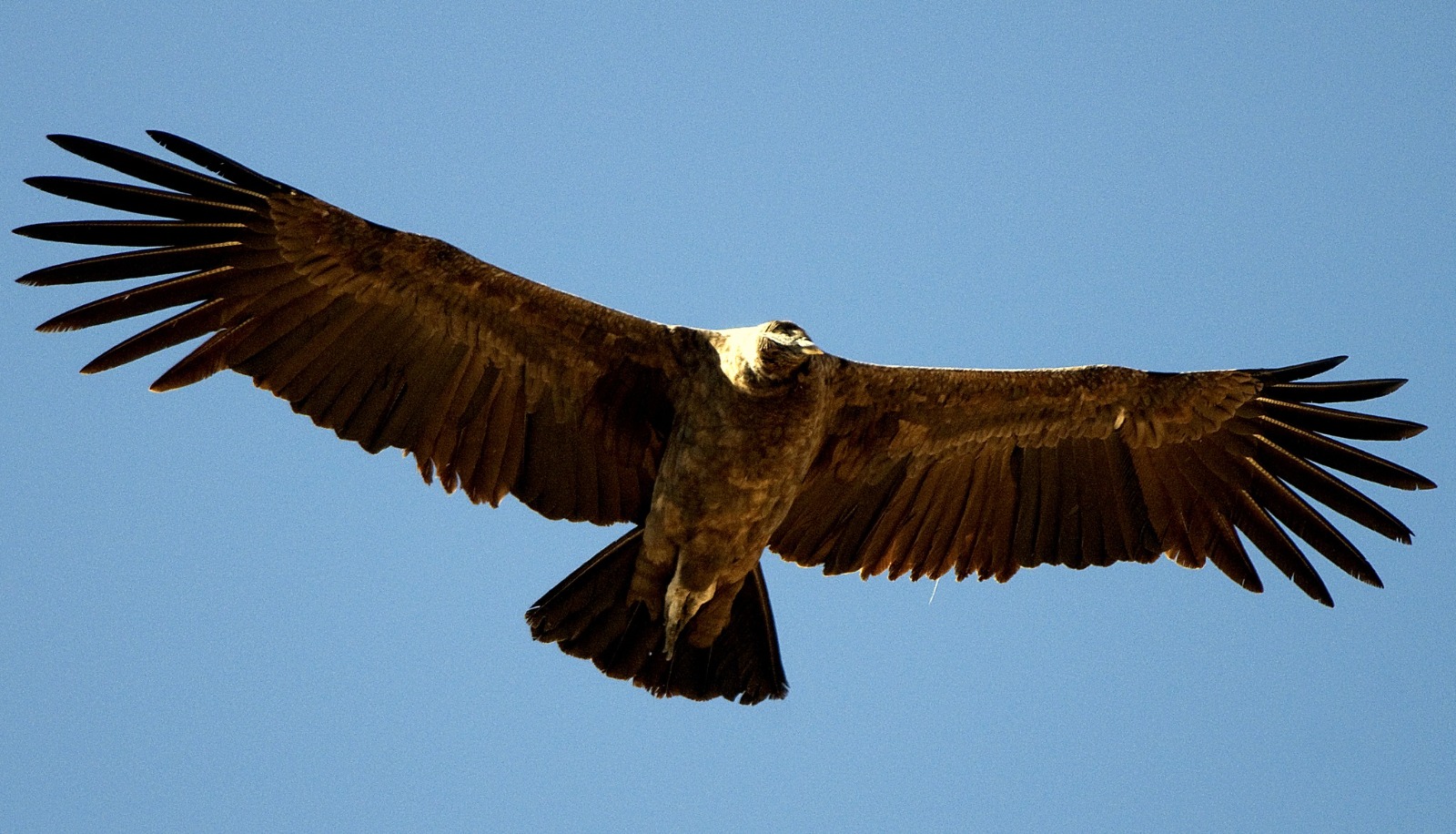 Foto del viaje 3