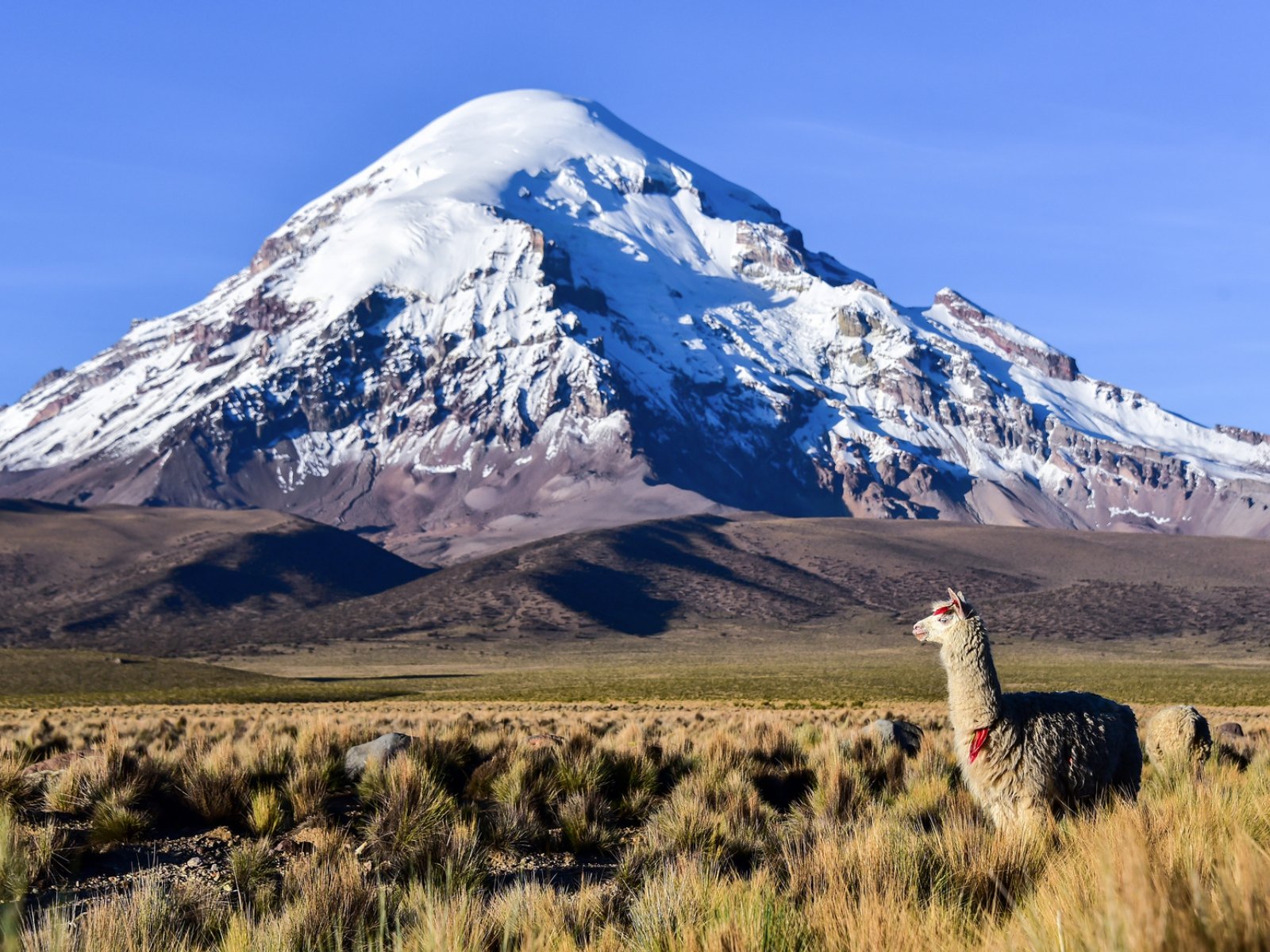 Circuito de Montañas y Ruinas desde La Paz