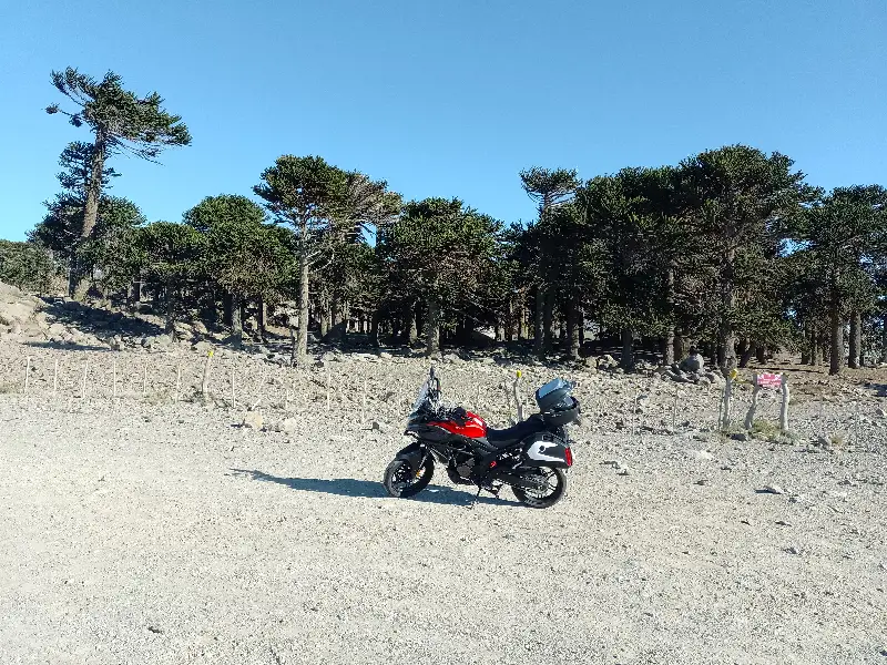 Foto del viaje 5