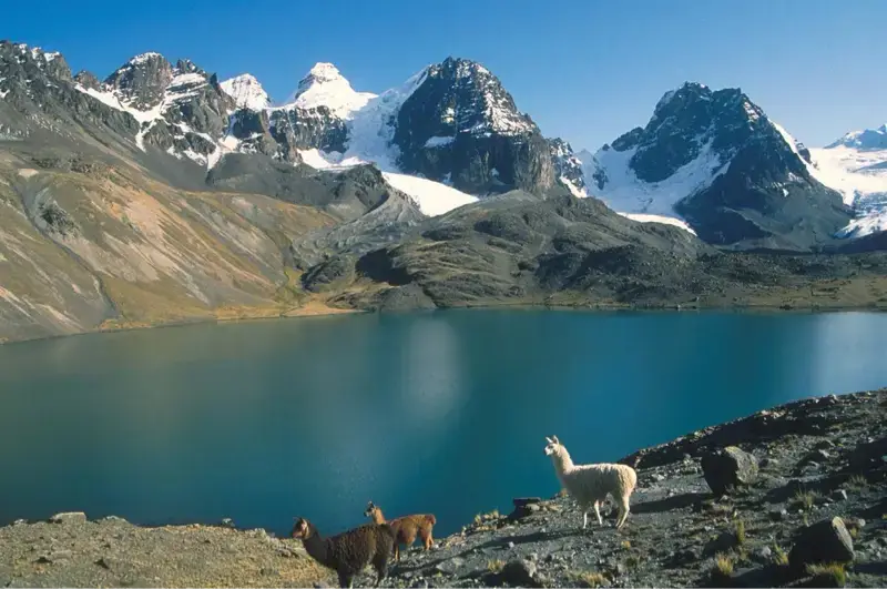 Selvas y Yungas