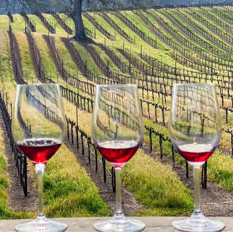 Ruta del Vino
